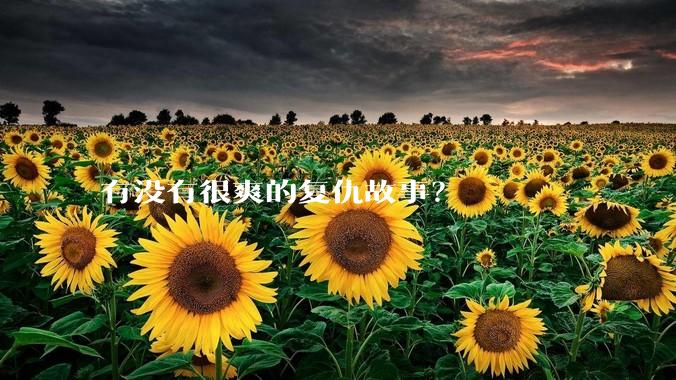 有没有很爽的复仇故事？